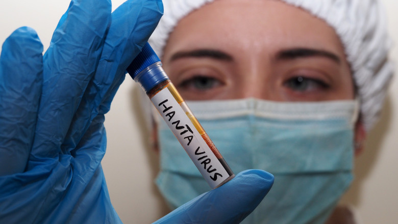 ALERTĂ OMS: „Numărul de cazuri de hantavirus va crește”. Perioada de incubație de 6-8 săptămâni amenință cu un nou val